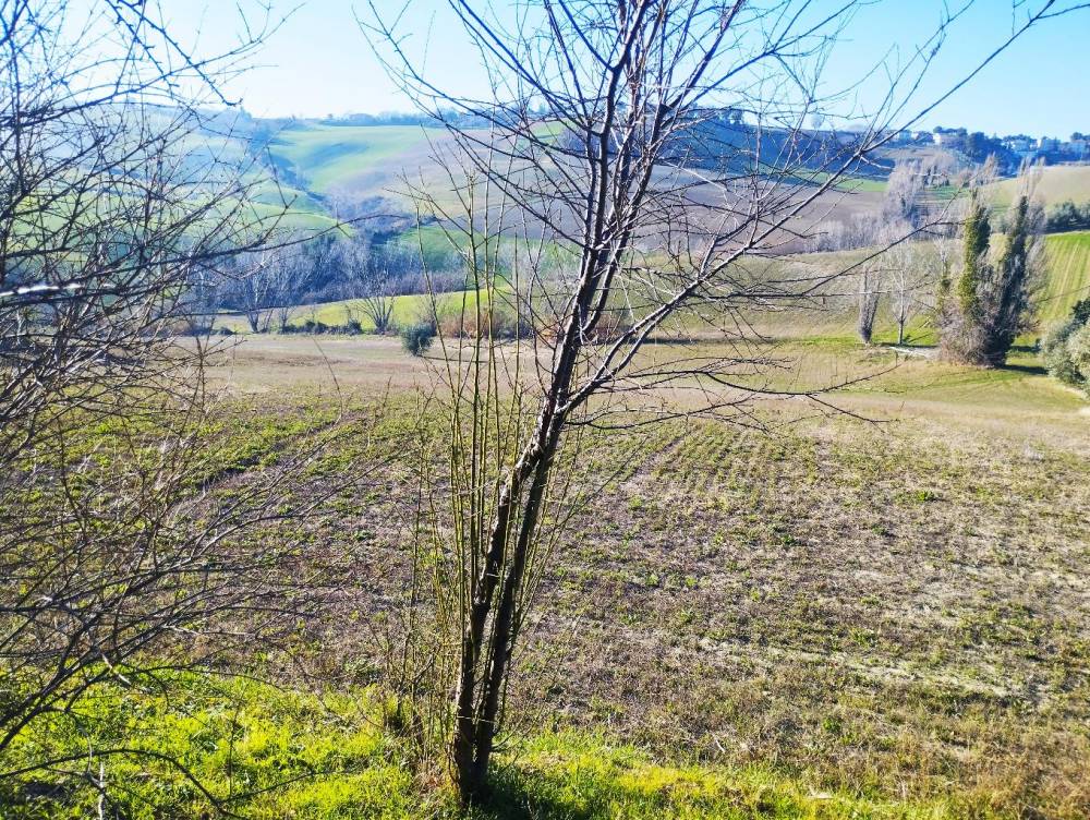 immagine annuncio 8 di 13