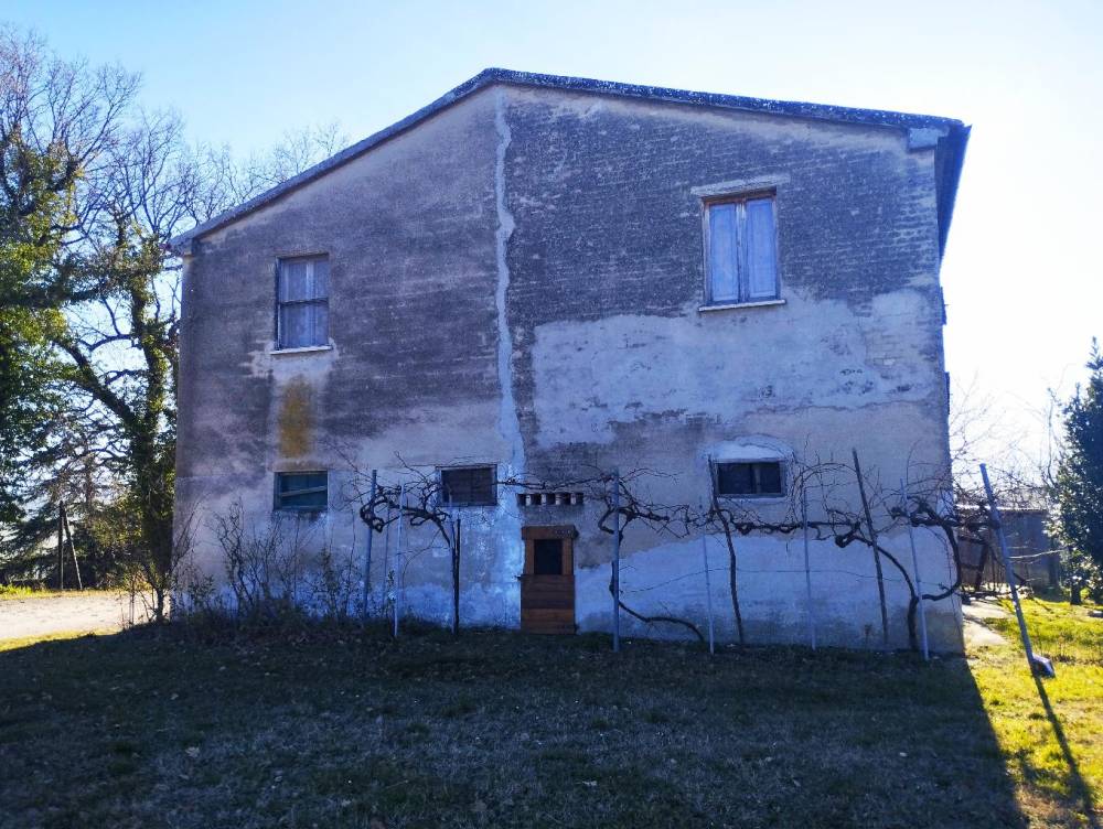 immagine annuncio 11 di 13