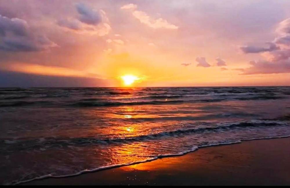 appartamento in vendita a Senigallia