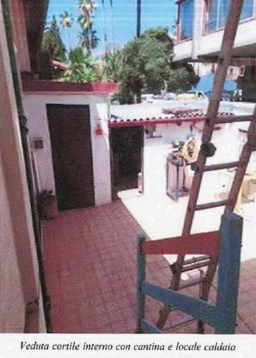 immagine annuncio 1 di 12