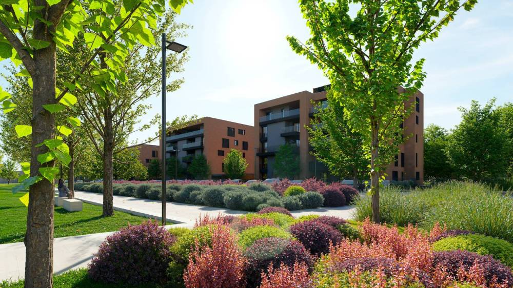 immagine annuncio 11 di 13