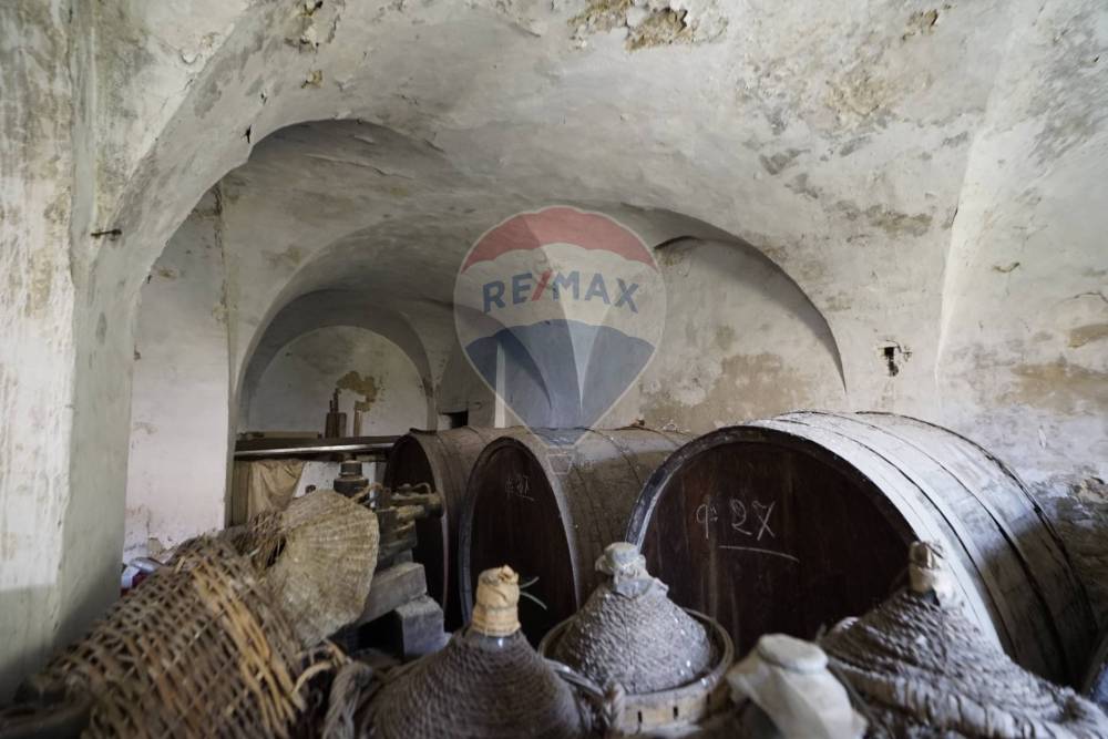 immagine annuncio 12 di 13