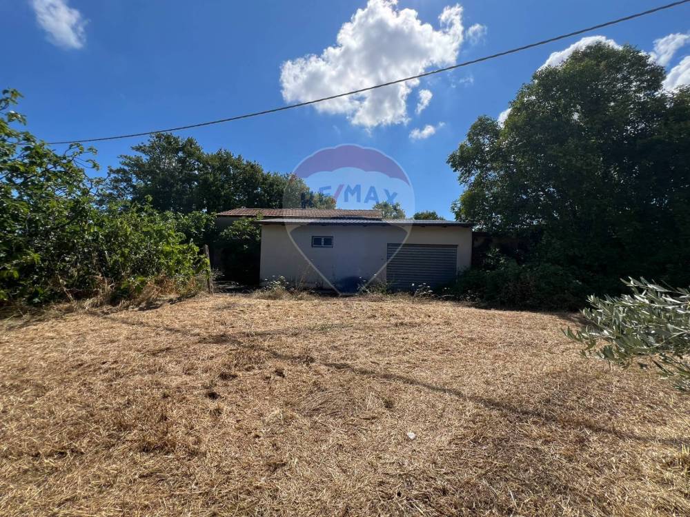 immagine annuncio 10 di 13