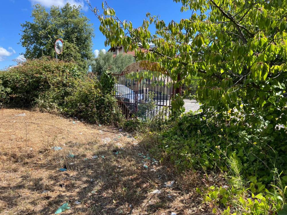 immagine annuncio 4 di 13