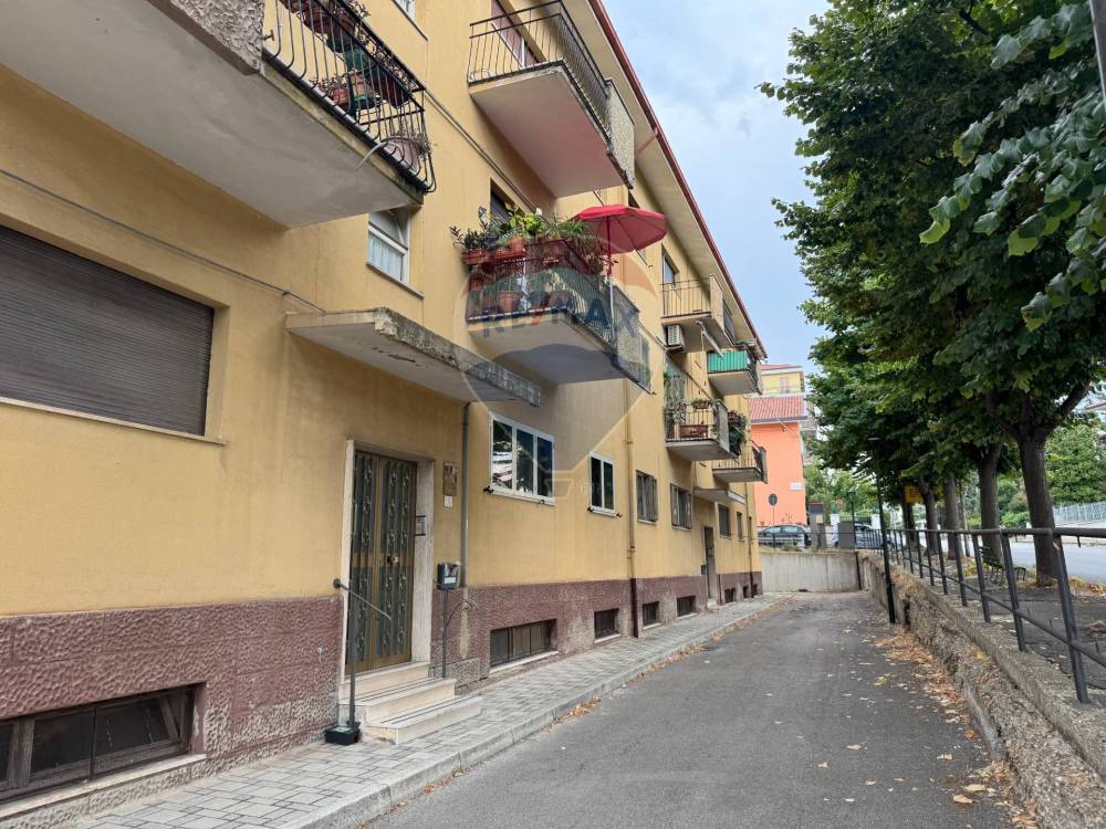 immagine annuncio 1 di 13