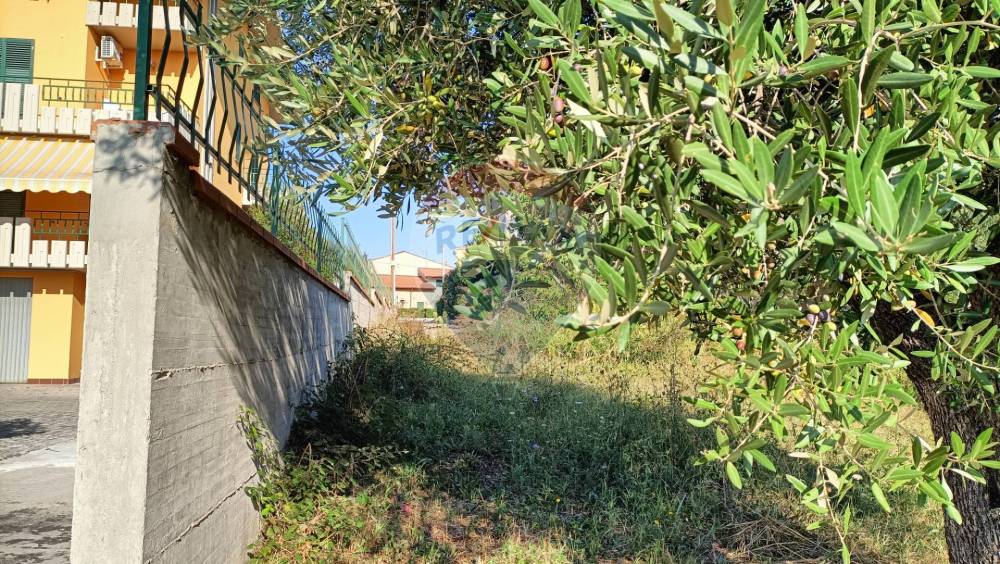 immagine annuncio 5 di 11