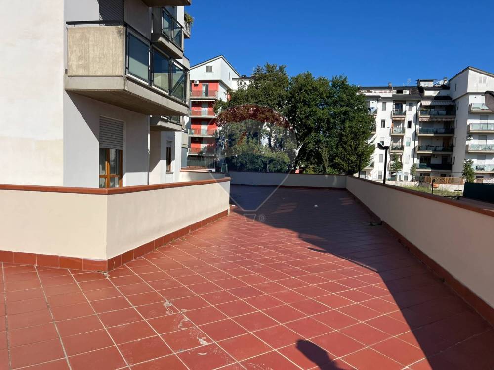 immagine annuncio 1 di 6