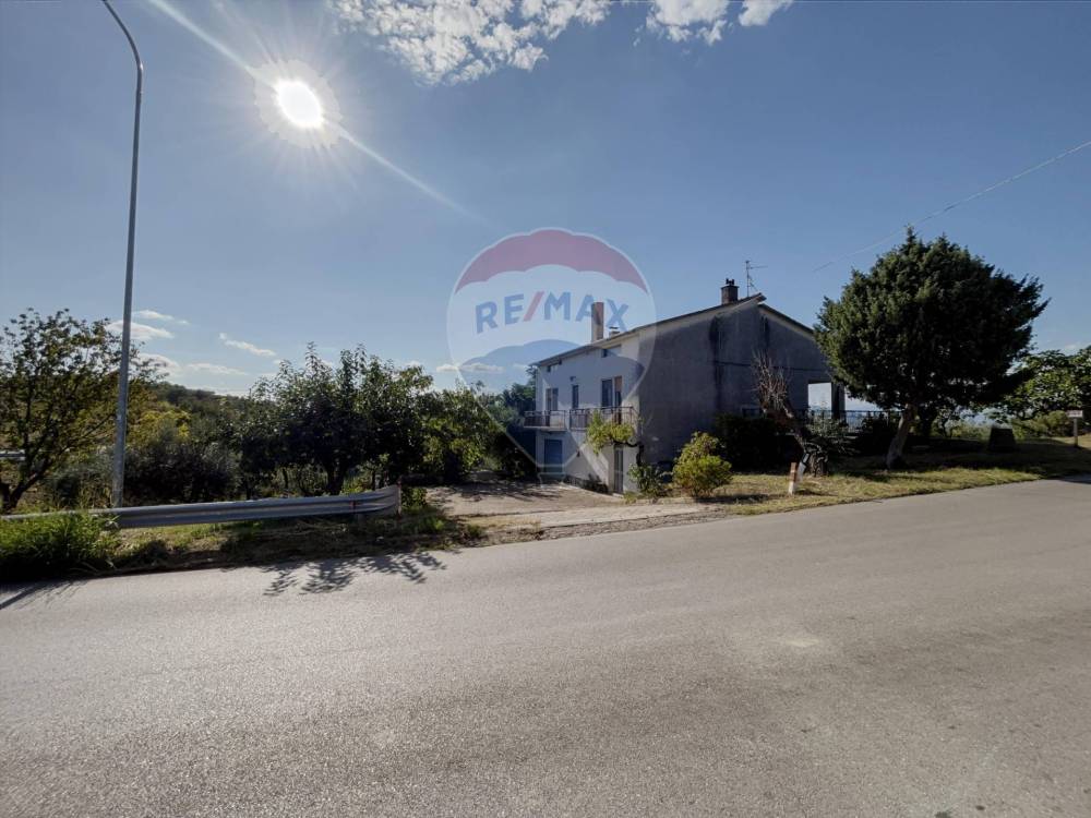 immagine annuncio 6 di 13