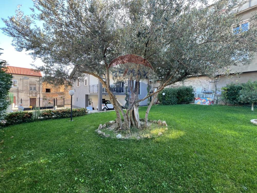 immagine annuncio 8 di 13