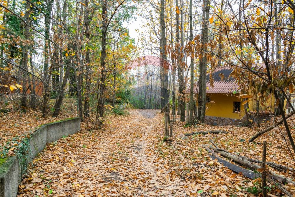 immagine annuncio 10 di 13