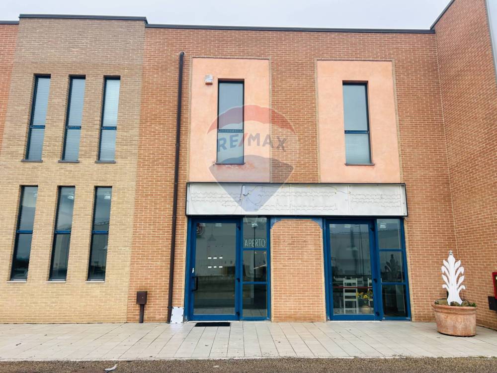 immagine annuncio 4 di 13