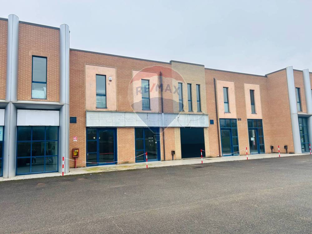 immagine annuncio 2 di 13