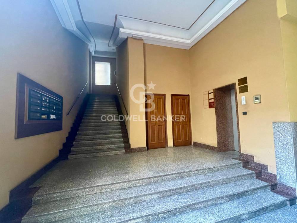 immagine annuncio 9 di 12