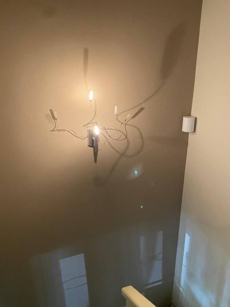 immagine annuncio 5 di 11