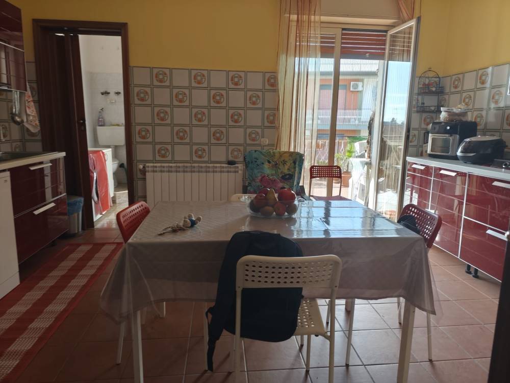 immagine annuncio 3 di 11