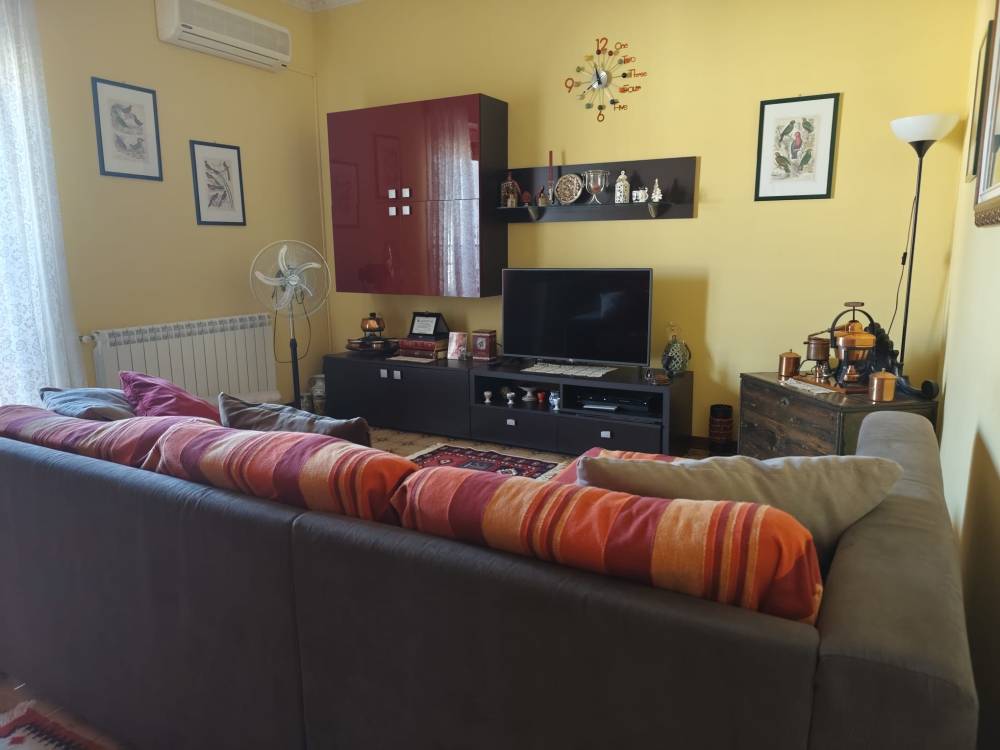 immagine annuncio 4 di 11