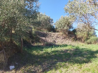 immagine annuncio 2 di 3