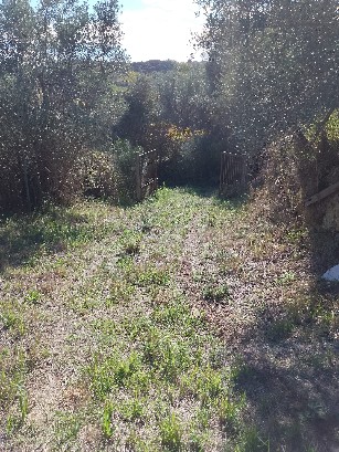 immagine annuncio 1 di 3