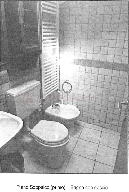 immagine annuncio 3 di 7