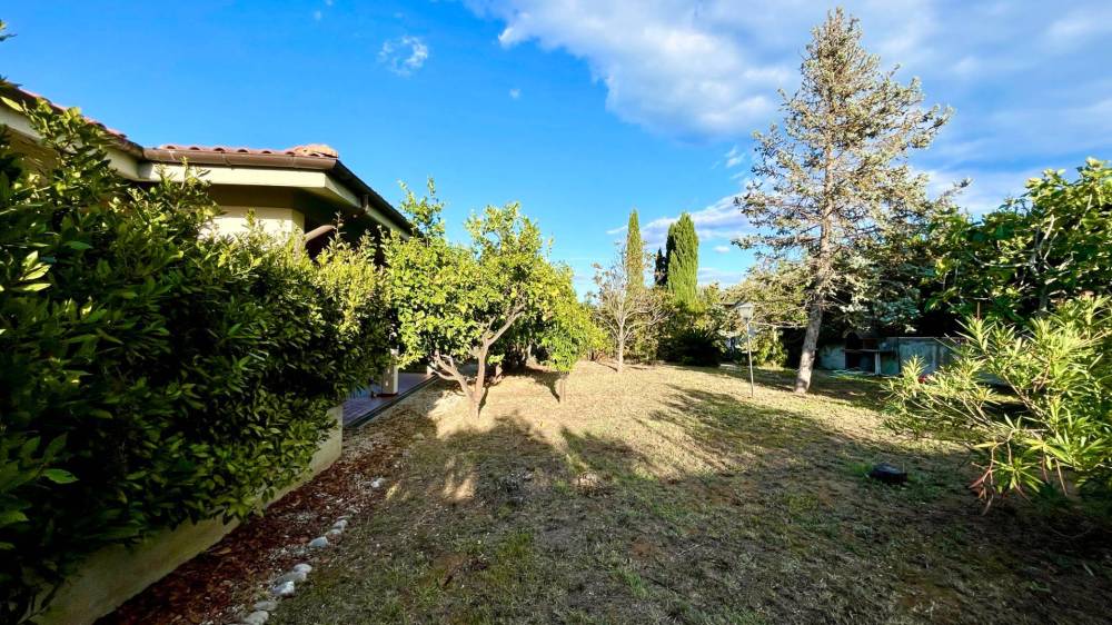 immagine annuncio 2 di 13