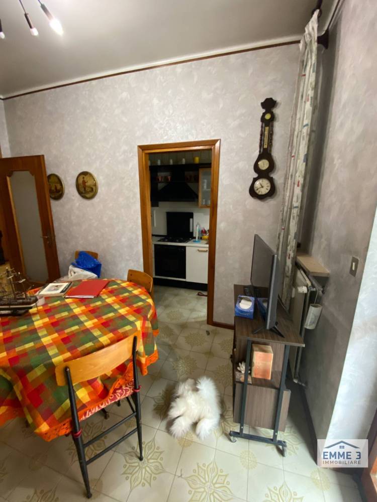 immagine annuncio 7 di 13