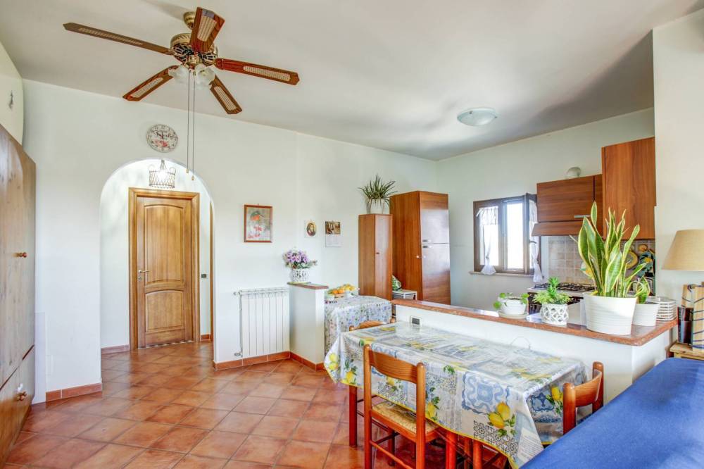 immagine annuncio 5 di 13