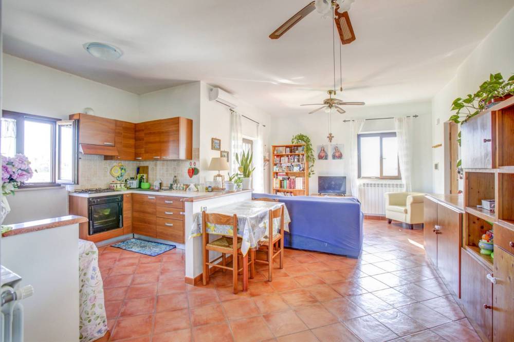 immagine annuncio 6 di 13