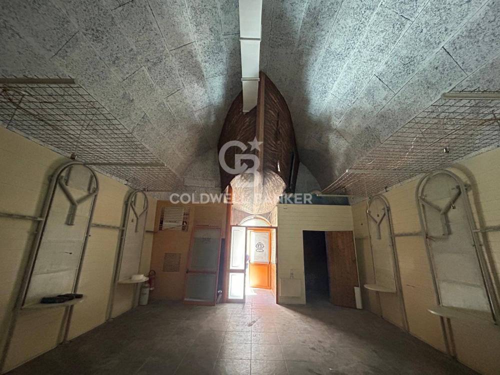 immagine annuncio 6 di 12