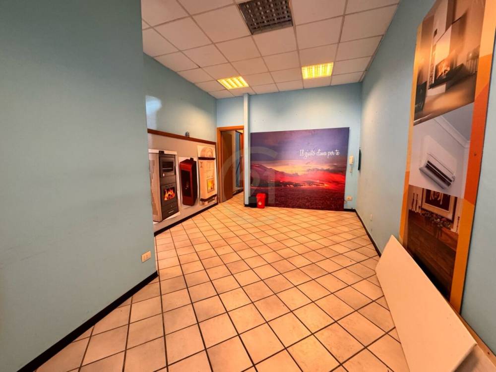 immagine annuncio 3 di 13