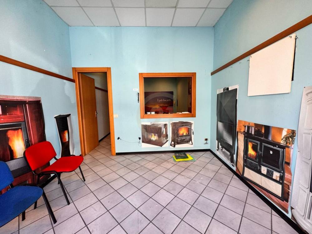 immagine annuncio 6 di 13