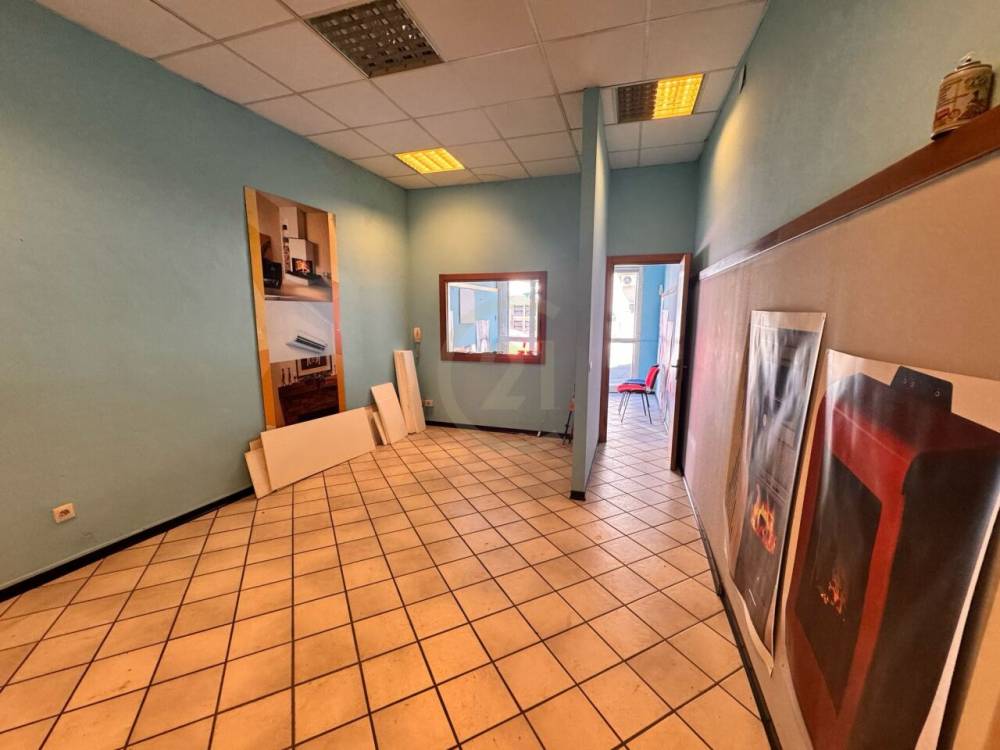 immagine annuncio 10 di 13