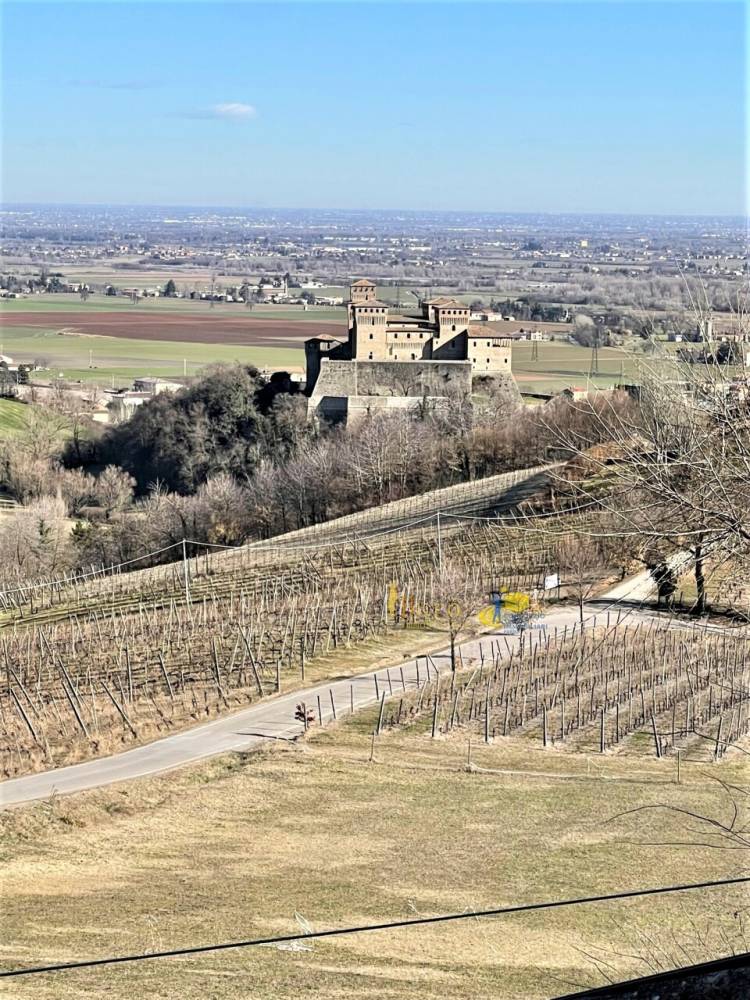 immagine annuncio 9 di 13