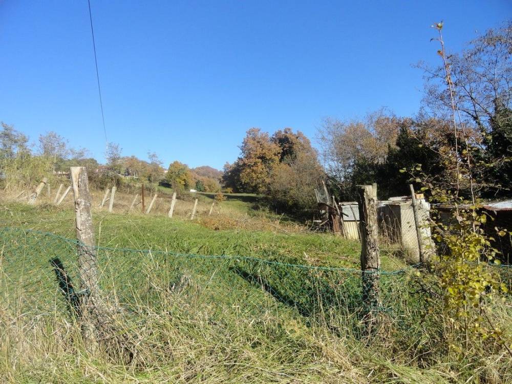 immagine annuncio 9 di 13