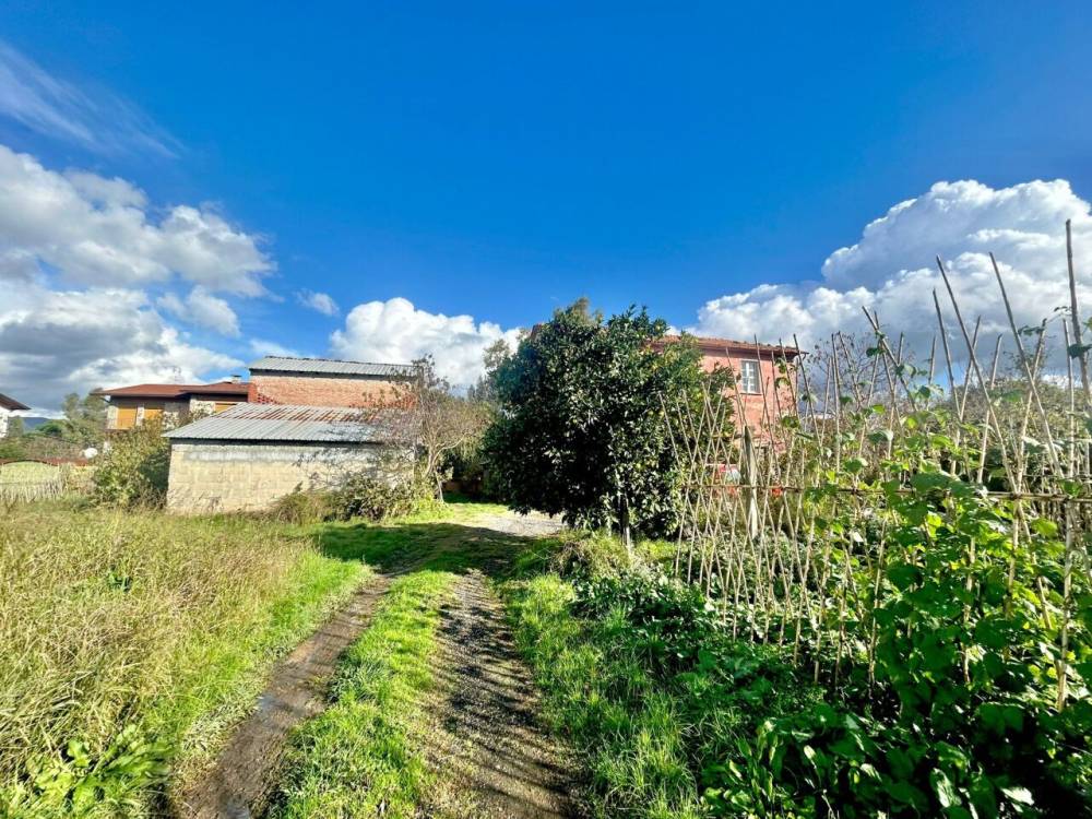 immagine annuncio 1 di 13