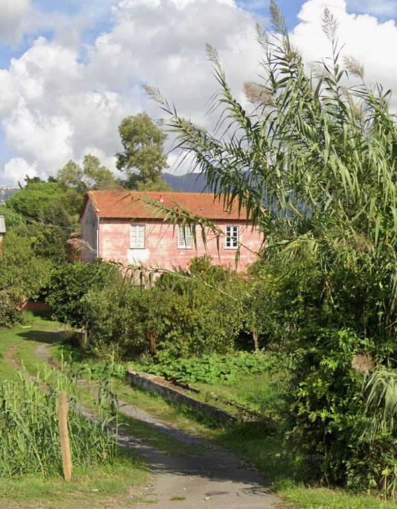 immagine annuncio 6 di 13