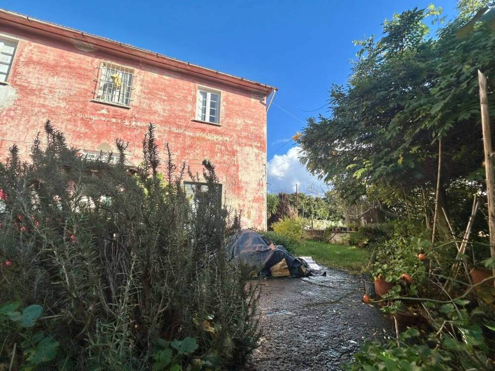 immagine annuncio 7 di 13