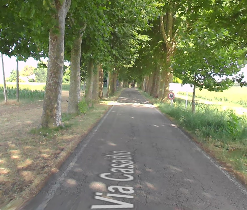 immagine annuncio 5 di 13