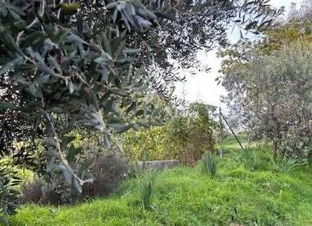 immagine annuncio 2 di 13