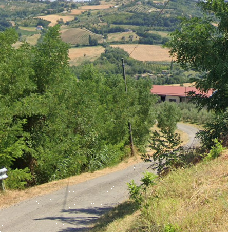 immagine annuncio 5 di 13