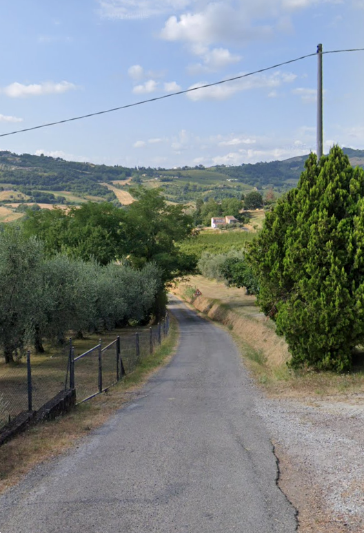 immagine annuncio 7 di 13