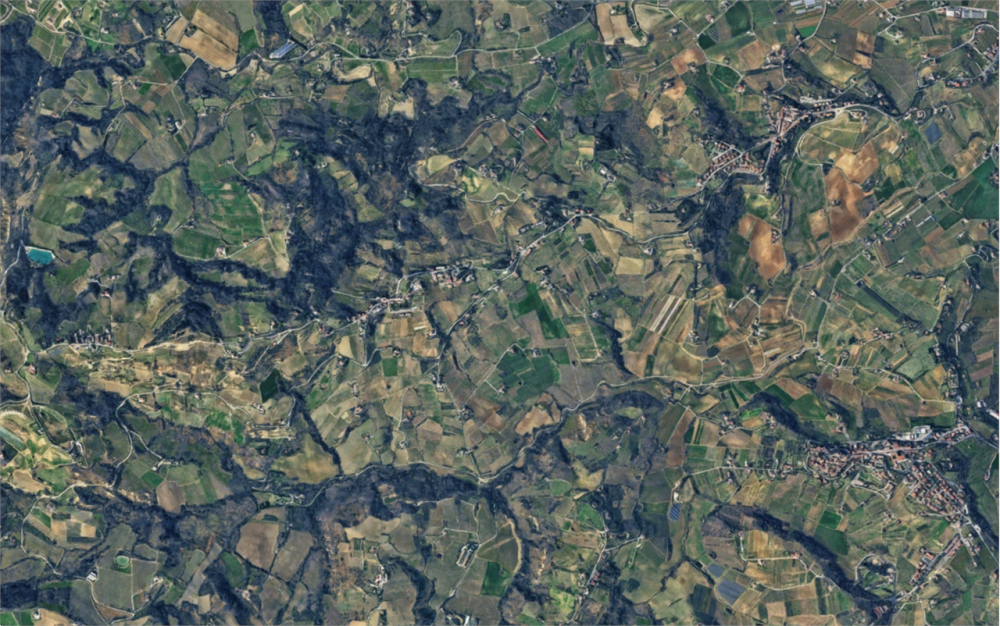 immagine annuncio 11 di 13