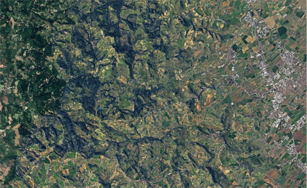 immagine annuncio 12 di 13