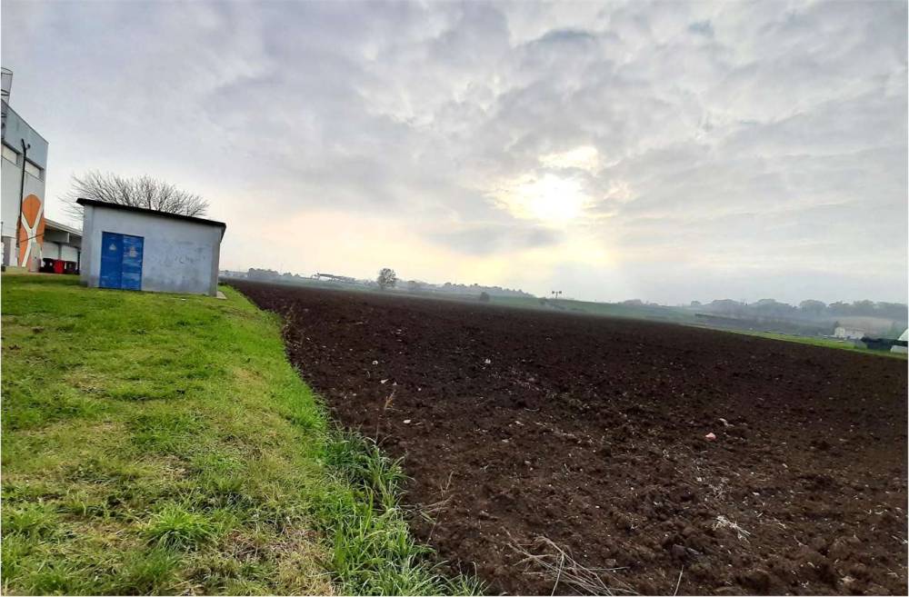 immagine annuncio 7 di 13