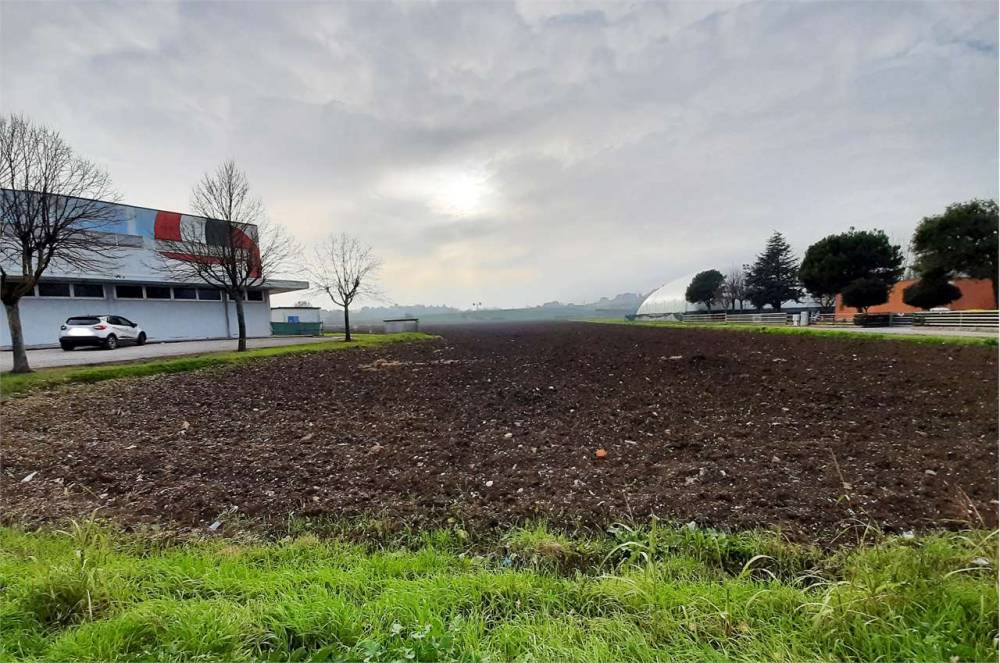 immagine annuncio 8 di 13