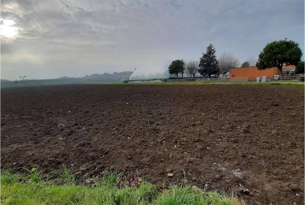 immagine annuncio 9 di 13