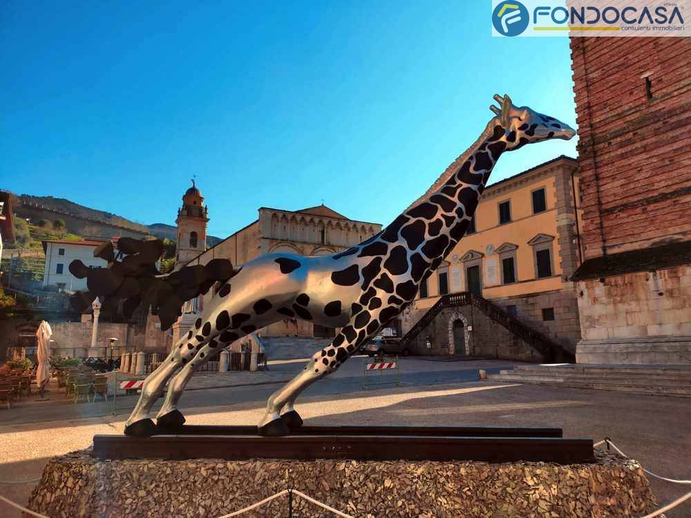 immagine annuncio 12 di 13