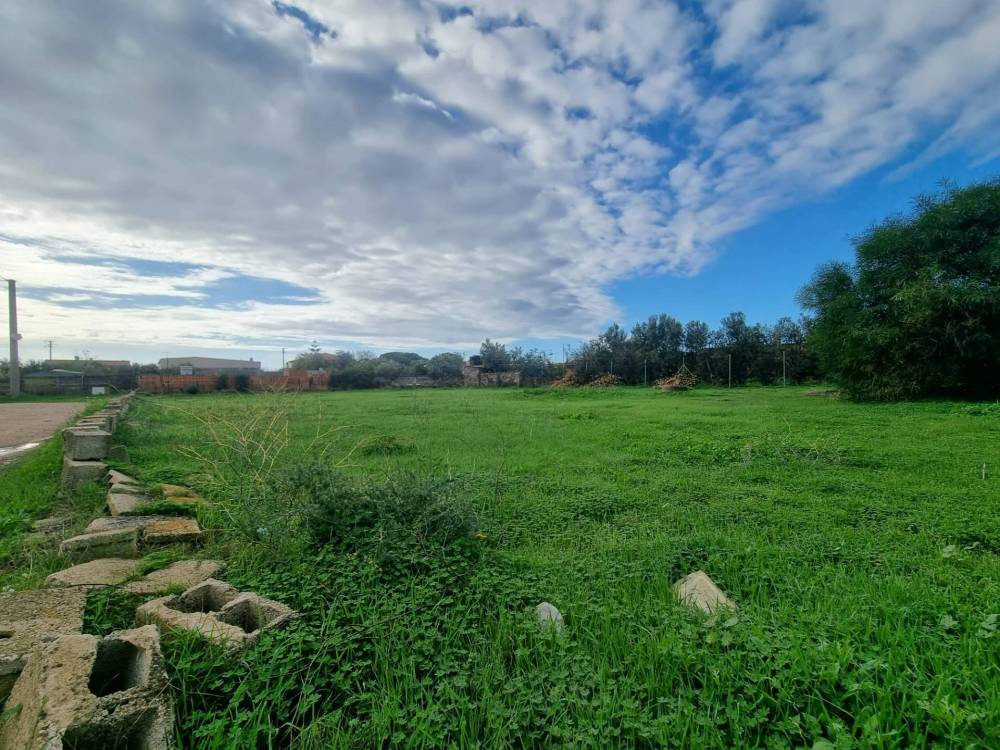 immagine annuncio 1 di 2