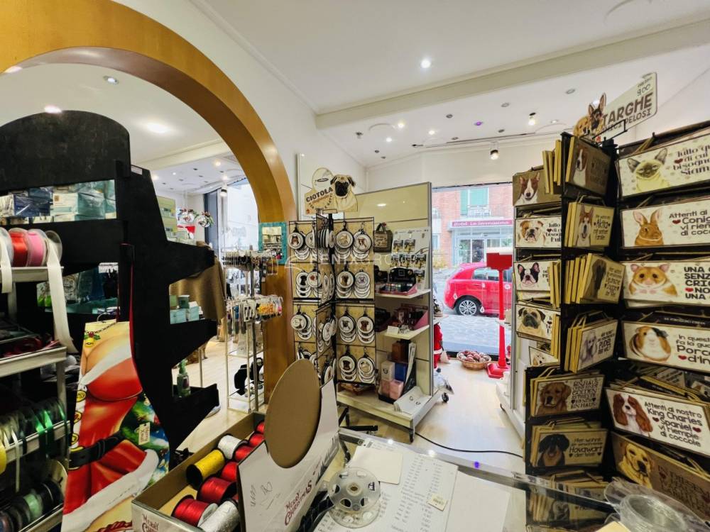 immagine annuncio 3 di 7