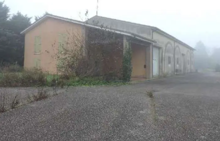 immagine annuncio 2 di 13