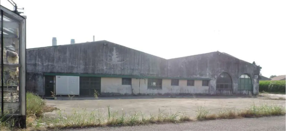 immagine annuncio 5 di 13